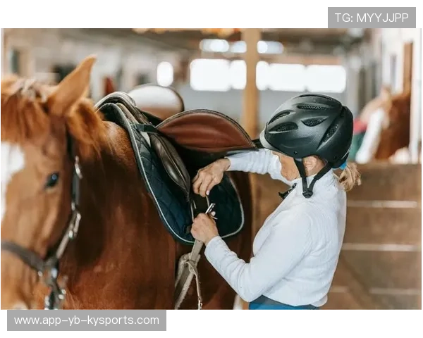 克罗地亚马术协会推出马匹健康管理系统，提升马匹福利。，克罗地亚圣马可教堂