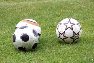 开云·Kaiyun网页版-基层足球俱乐部资金短缺,基层足球俱乐部资金短缺的原因 第1张 开云·Kaiyun网页版-基层足球俱乐部资金短缺,基层足球俱乐部资金短缺的原因 第1张