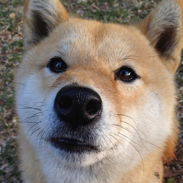 开云体育中国官方网站-滑行段滑动效率最高选手分析，滑行能力  第1张