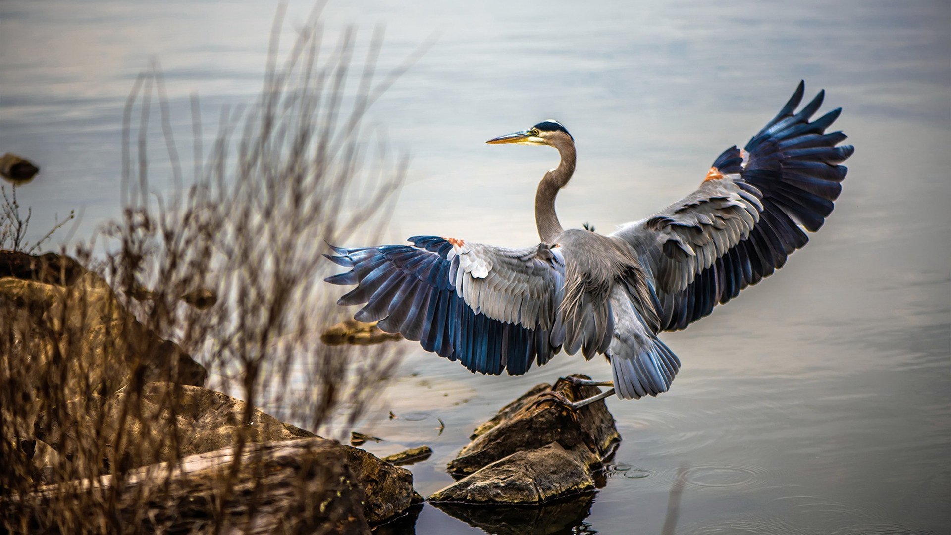 开云体育中国官方网站-滑行段滑动效率最高选手分析，滑行能力  第2张