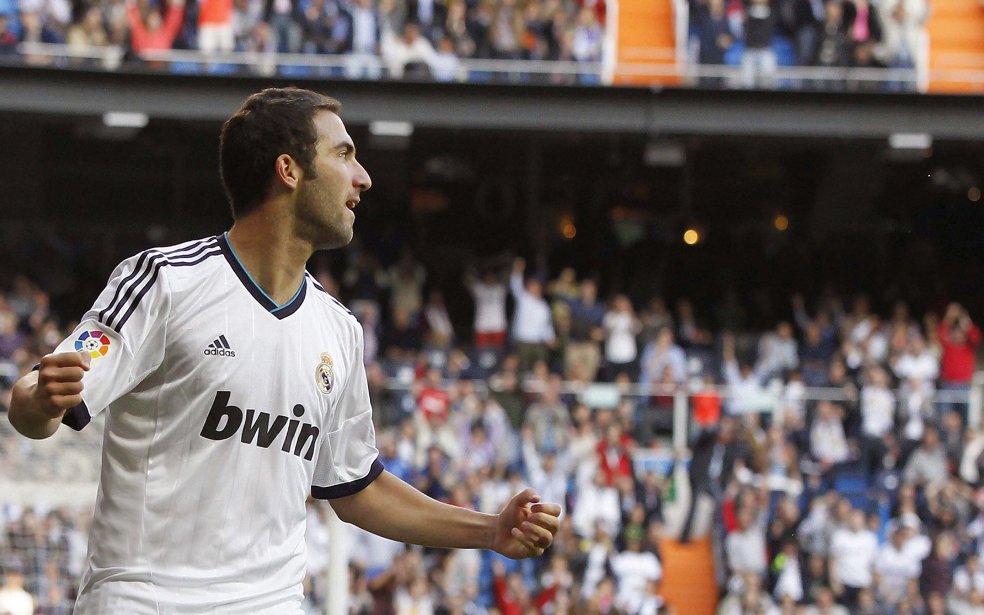 全球马拉松赛事规模不断扩大，城市赛事热度上升，全球马拉松赛事排名